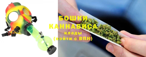 ECSTASY Майский