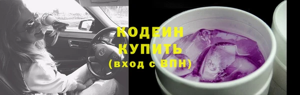 ECSTASY Майский