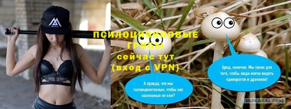 герыч Магас