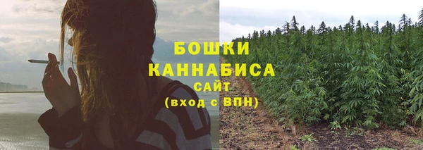 ECSTASY Майский