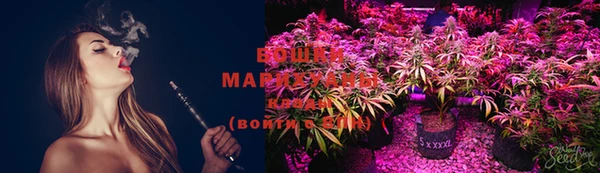 ECSTASY Майский