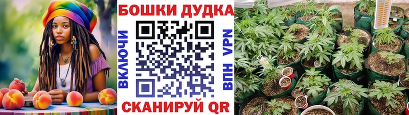 как найти закладки  Южно-Сухокумск  KRAKEN ссылка  Шишки марихуана ГИДРОПОН 